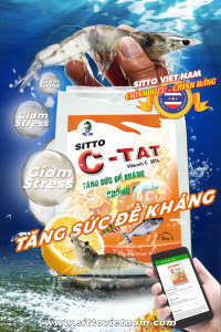 Khoáng chất bổ sung cho tôm cá - Phân Bón Sitto - Công Ty TNHH Sitto Việt Nam